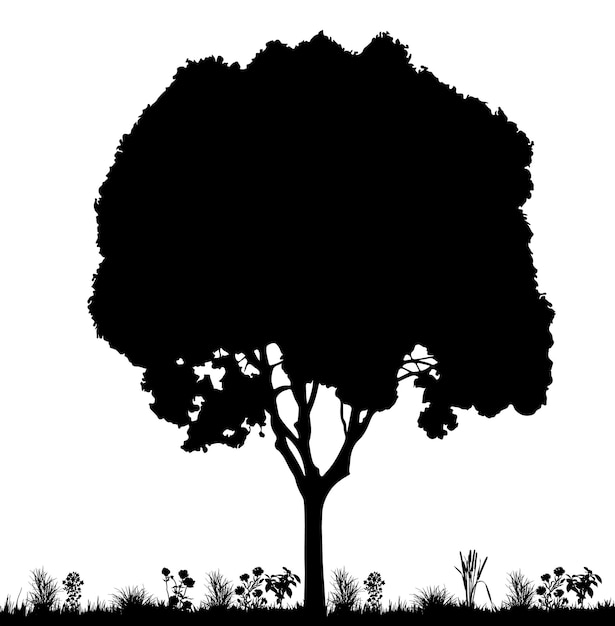 Vector Árbol de silueta aislada vectorial