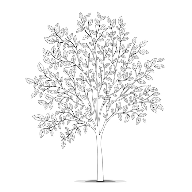Árbol con silueta de hojas en fondo blanco Vector de página de libro para colorear