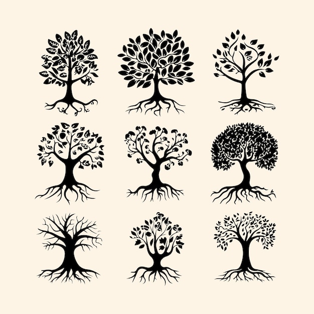 Árbol con silueta negra de raíces Diferentes tipos de árboles con icono vectorial de raíces