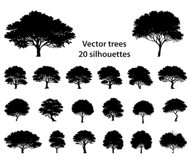 Vector Árbol de silueta vectorial en blanco y negro