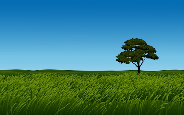 Vector Árbol solitario en pradera con cielo despejado