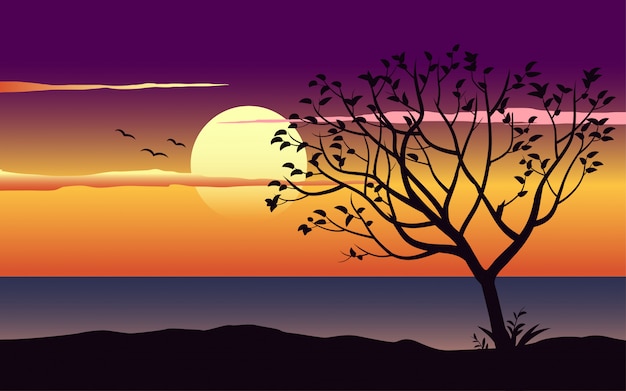 Árbol solitario durante la puesta de sol