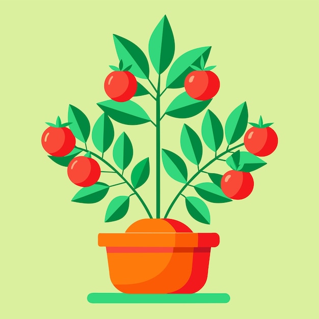 Vector Árbol de tomate en una ilustración vectorial de olla