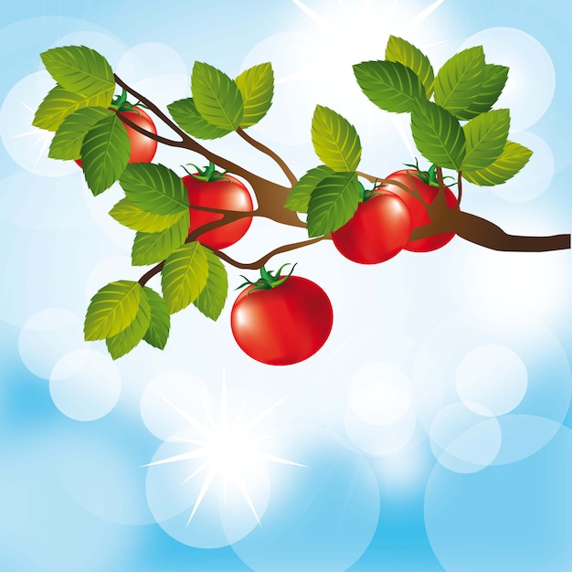 Vector Árbol de tomate sobre fondo de cielo azul. ilustración vectorial