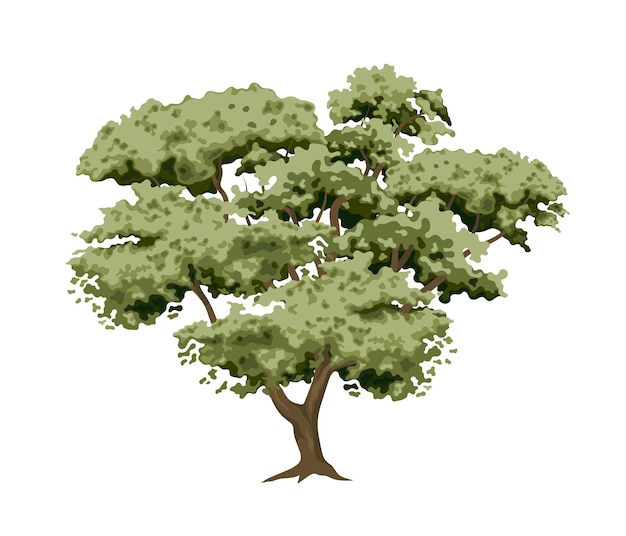 árbol, vector, bosque, planta, vector, ilustración