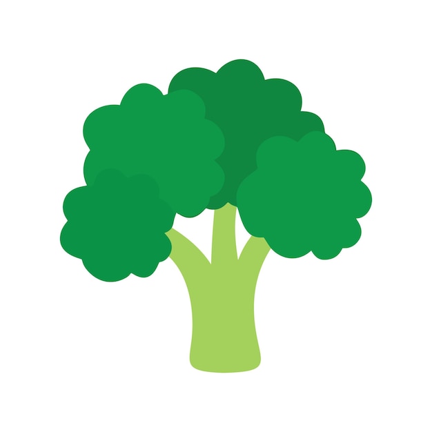 Un árbol verde con una hoja verde