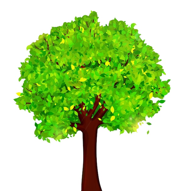 Vector Árbol verde con hojas en vector de fondo blanco