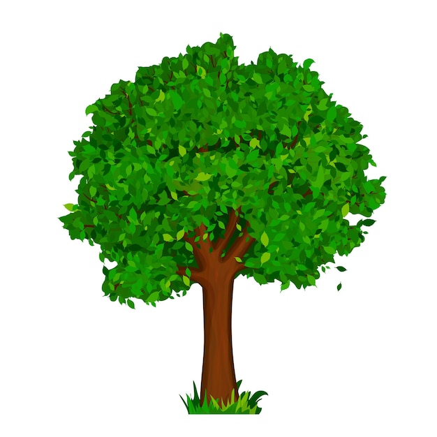 Árbol verde con hojas vectoriales