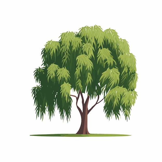 Un árbol verde con muchas hojas en él vector