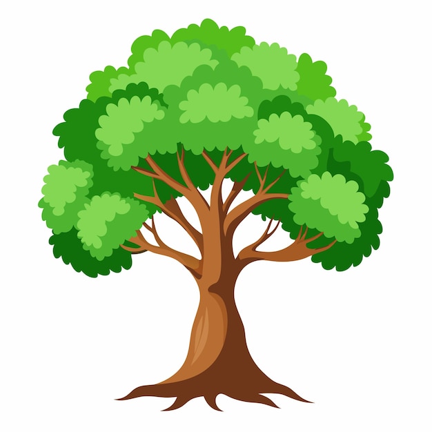 árbol verde sobre fondo blanco