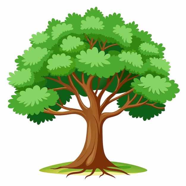 árbol verde sobre fondo blanco