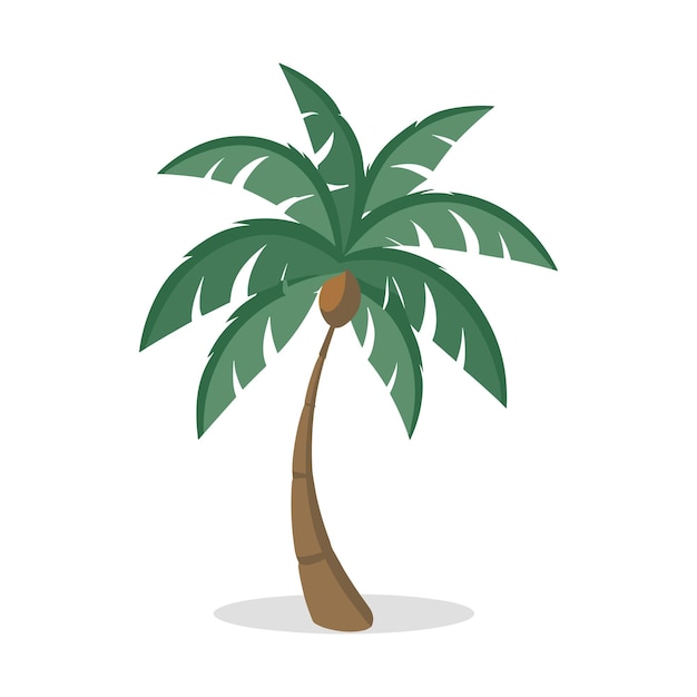 árbol