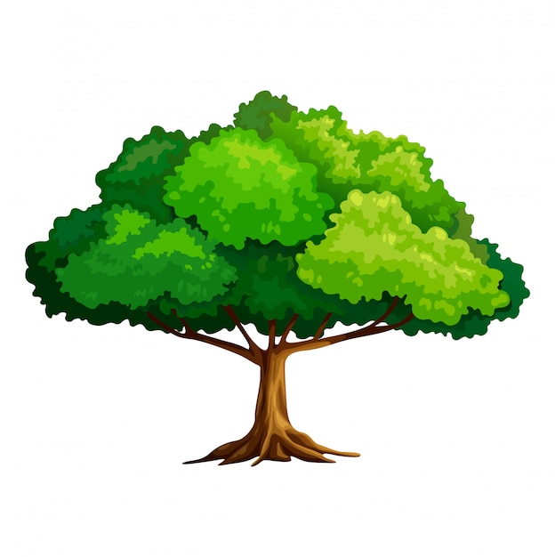 Árbol