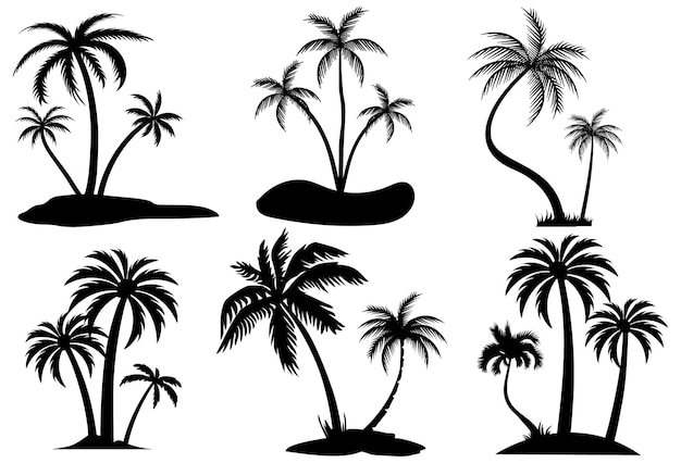 árbol