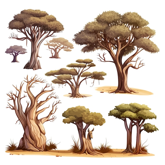 Vector Árboles africanos dibujados a mano acacias baobabs arbusto de hierba seca