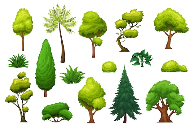 Árboles y arbustos. Iconos para parque de paisaje de diseño, bosque, patio trasero. Arbustos verdes, jardín y árboles forestales ilustración vectorial.