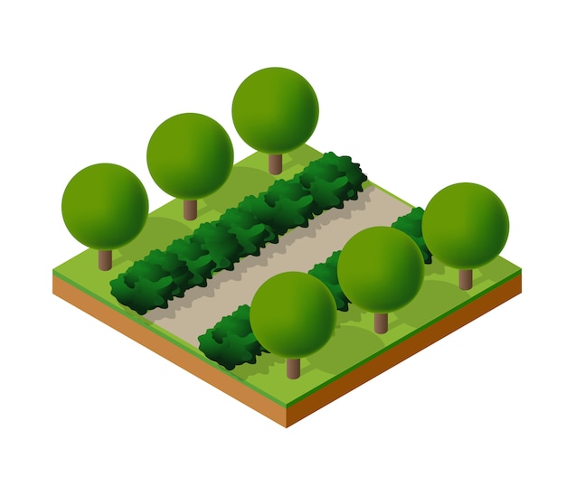 Árboles bosque camping