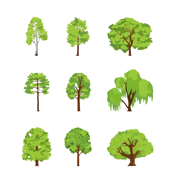 Vector Árboles de dibujos animados diferentes abedul álamo olmo castaño sauce arce tilo corona de la hoja del árbol para el diseño de juegos o paisaje naturaleza vector ilustración aislada
