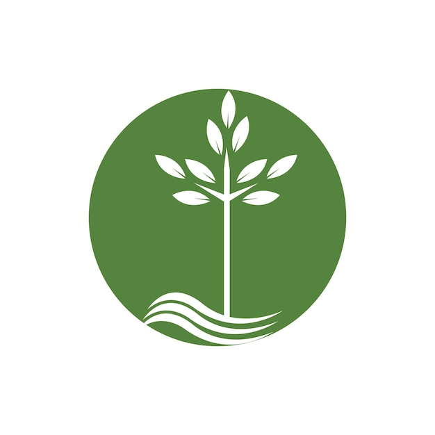 Árboles de manglares y vectores de diseño de logotipos de ecología forestal de manglares