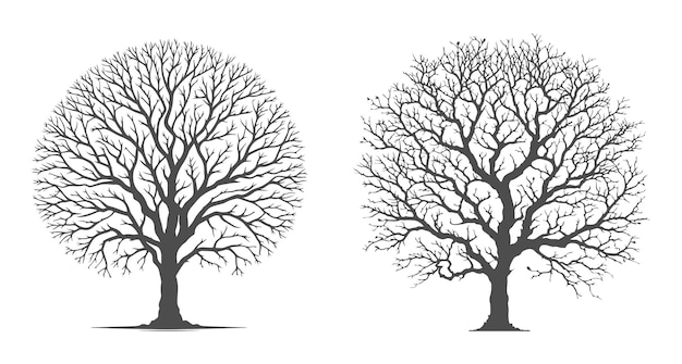 Árboles negros secos sin hojas silueta fondo verde ilustración de la naturaleza en vector negro