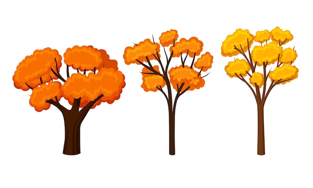 Árboles de otoño con follaje exuberante aislados en un conjunto vectorial de fondo blanco