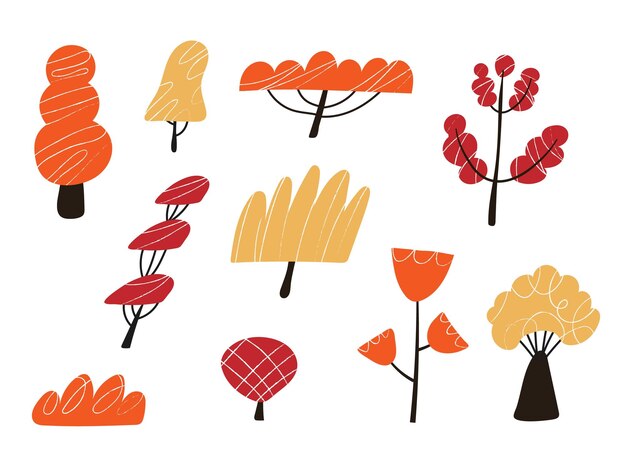 Árboles de otoño que muestran varias plantas forestales