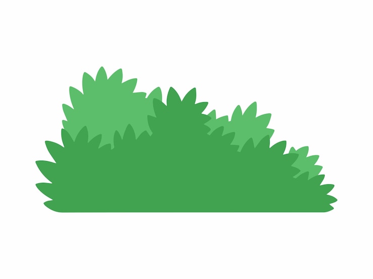 Vector arbusto, arbusto, ilustración