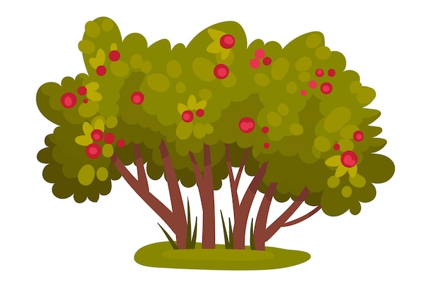 El arbusto con bayas y follaje exuberante como ilustración vectorial del elemento forestal