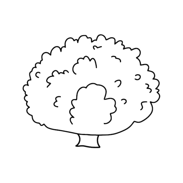 Arbusto en estilo doodle Vector aislado en fondo blanco