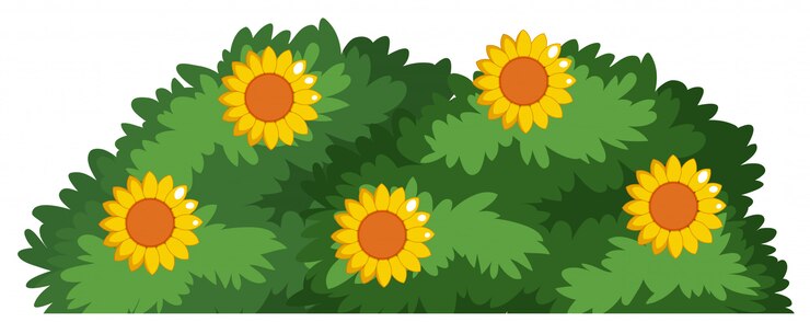 Vector un arbusto de flores aisladas