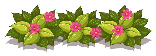 Vector arbusto frondoso con flores