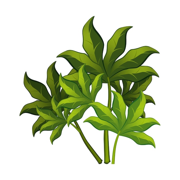Arbustos verdes realistas sobre fondo blanco - ilustración vectorial