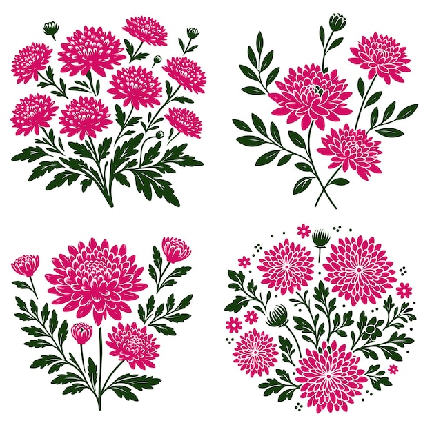 archivo vectorial de la colección de flores de crisantemo