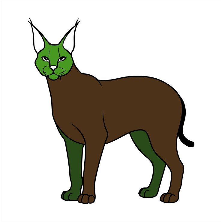 Vector archivo vectorial gráfico de gato caracal
