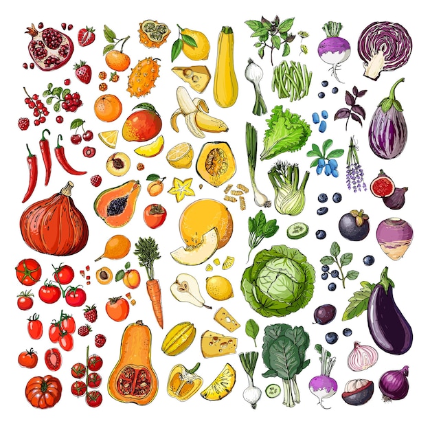 Vector arco iris verduras y frutas bayas vector boceto de comida calabazas manzanas plátanos repollo tomates