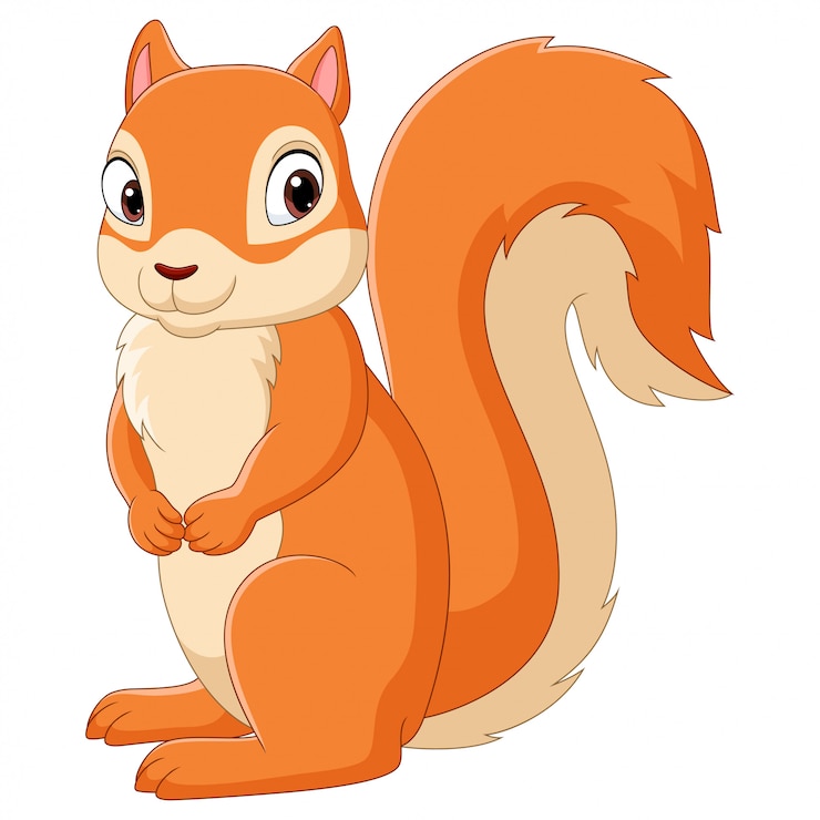 Vector una ardilla feliz de dibujos animados aislada sobre un fondo blanco