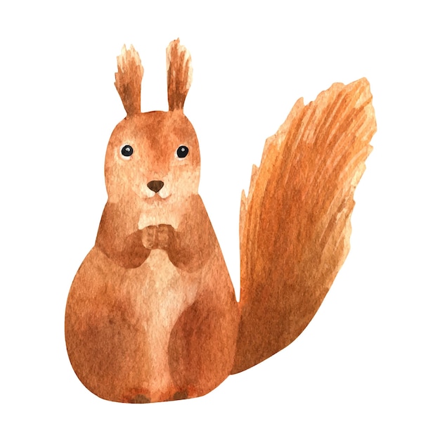 Vector ardilla roja acuarela dibujada a mano animal de bosque realista
