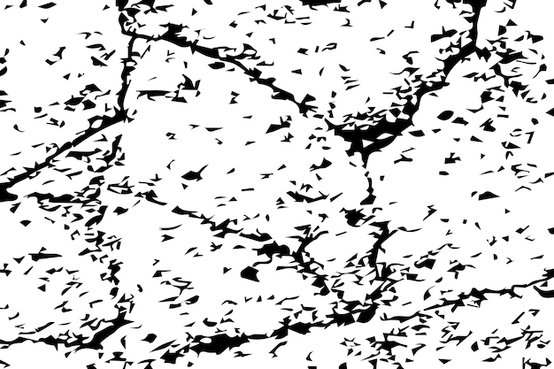arena o piedras texturas sucias en blanco y negro