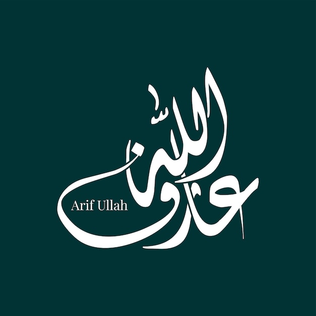 Arif Ullah Nombre plantilla vectorial de caligrafía árabe