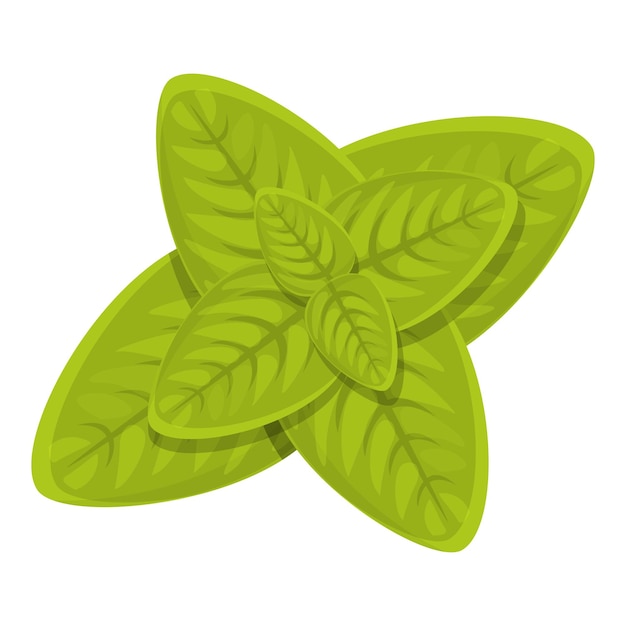 Aroma orégano icono dibujos animados vector planta especia etiqueta ensalada