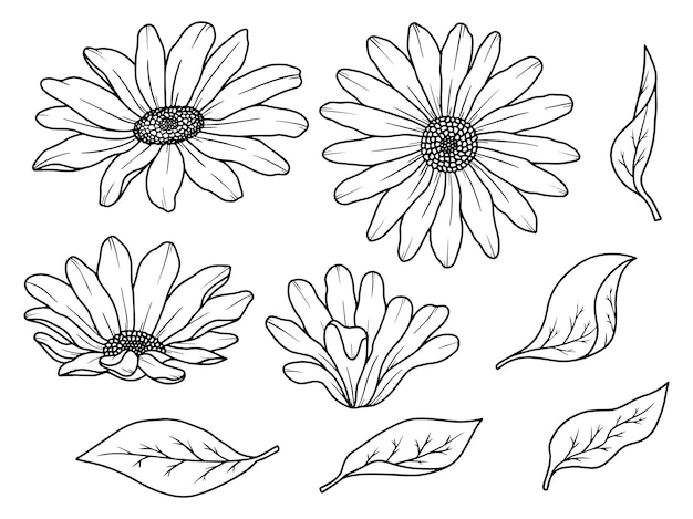 Arreglo de arte de línea de flores