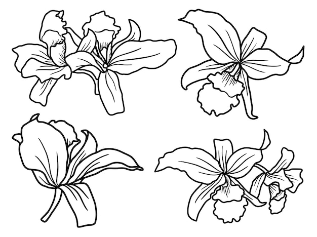 Arreglo artístico de líneas florales