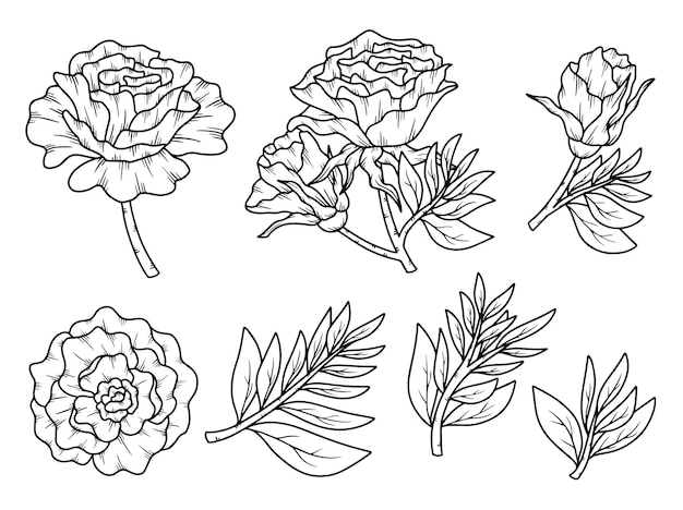 Arreglo artístico de líneas florales