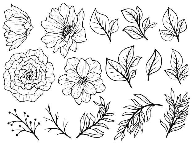 Arreglo artístico de líneas florales
