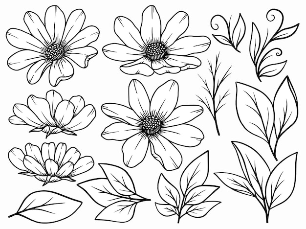 Arreglo artístico de líneas florales