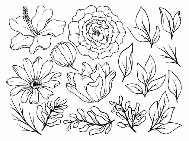 Arreglo artístico de líneas florales