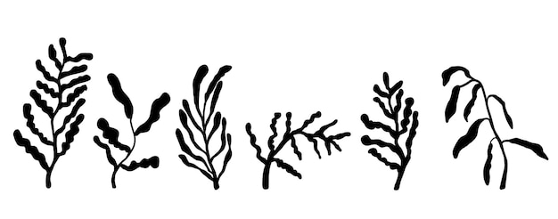 Arreglo de boceto vectorial de flores dibujado a mano en estilo doodle simple