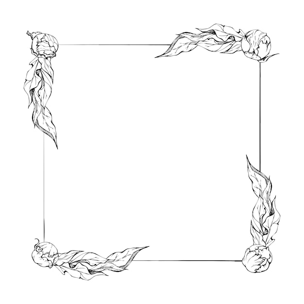 Arreglo de corona de marco cuadrado vectorial dibujado a mano con capullos de flores de peonía y hojas aislado sobre fondo blanco diseño para invitaciones de boda o tarjetas de felicitación papel tapiz textil impreso