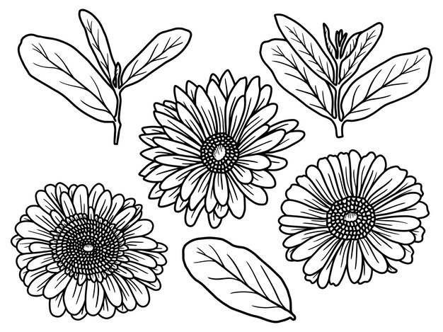 Arreglo floral con arte lineal dibujado a mano