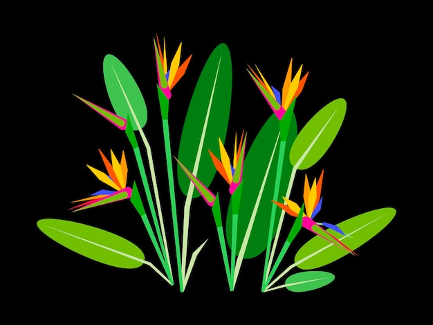 Vector arreglo floral aves del paraíso estilo geométrico